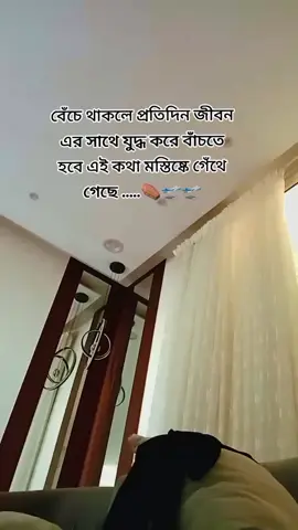 #সৌদি_আরব_প্রবাসী🇸🇦 #রেমিটেন্সযোদ্ধা #foryoupage #টিকটক_বাংলাদেশ_অফিসিয়াল🇧🇩🇧🇩🇧🇩 