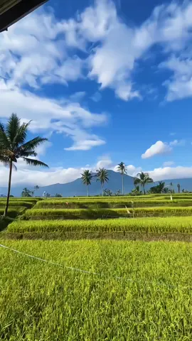 cerah berawan sayland lembur Kuring 🌿 #sunda #coversunda #tembangsunda #lagusunda #exploresubang #subang #subangjawabarat #fyp #viral #saylandlemburkuring #viralvideo #CapCut 