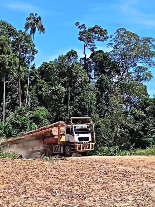 tanjakan ekstrim dan berbelok ... 🫣🫣#logging #truck #fyp #viral 