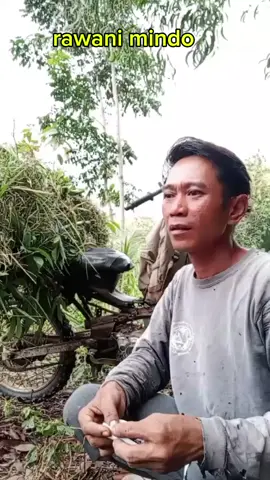 wes sunat #komedi #lucu #viral 