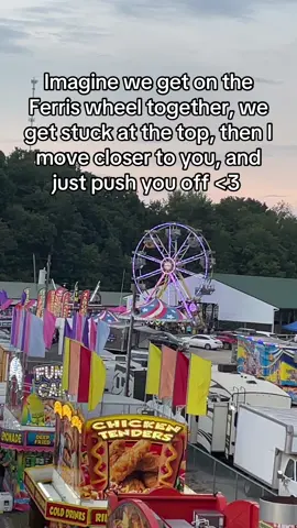 Just a cute date idea 🎡 