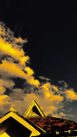 الصمت هو أفضل وسيلة للحماية، سواء كان ذلك بالكلمات أو المشاعر 