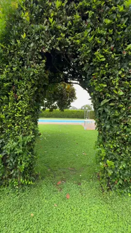 Il primo compleanno di Nolan😍😍😍e che giornata bellissima!  I bambini si sono scatenati in piscina, ridendo e giocando tantissimo. 🏊‍♂️  Nel frattempo, abbiamo preparato un delizioso barbecue che ha riempito l’aria di profumi irresistibili.  Ma poi, proprio quando pensavamo di essere invincibili, è arrivata la pioggia! ☔️  Ma niente paura, ci siamo messi al riparo e abbiamo continuato a divertirci con giochi e risate.  Le migliori feste sono quelle che si adattano a qualsiasi imprevisto! ❤️ Grazie a tutti per aver reso questo giorno così speciale per Nolan🎉❤️  #CompleannoNolan #FestaInPiscina #Famiglia #Amici #Divertimento #family #video #Love #top #fashion #instagood #myfamily