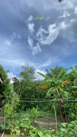 Kay ganda ng hapon#fypシ゚viral #albay #bicol 