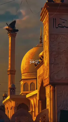 Beauty Of Existence🥹🕊️🦋#viral #viralvideotiktok #viralnasheed #viewsproblem #foryoupge #fypシ゚viral #viralpost #viralvideo #growmyaccount #100kviews #foryou #noviews #foryoupage #unfreez #1Mviews #viralvideoos #foryou #100kviews #1Mviews #foryoupge #viralvideotiktok 