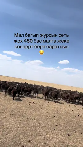 😂😂