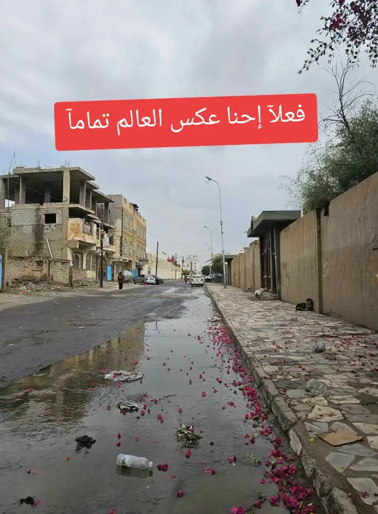 #اليمن_اصل_العرب_والعروبة🇾🇪✌  #اليمن #إكسبلور 