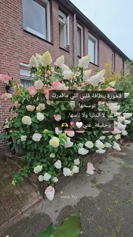 ولا خليت لا ورده ولا شارع ولا زغط الا وصورته😅🤭🌷💜🫶#flypシ #تصويري 