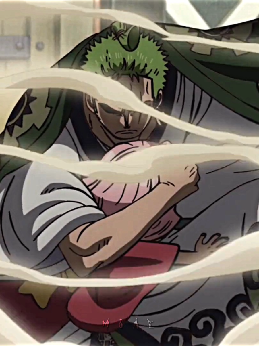 #zoro #sanji 