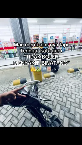 Upss👀#katakatagacor #soundgacorrr🔥 #bukansidrap⚡ #trendingtiktok#katakatagacor #fypppppppppppppp #masukberandafyp #foryoupage #xyzbca #4you #fyp 