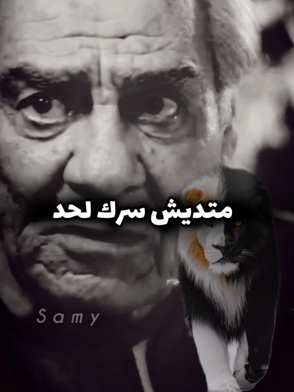 متديش سرك لحد 🖐️ #المصمم_سامي #تصميم_فيديوهات🎶🎤🎬 #حالات_واتس #حالات #ترند_الصعيد #الصعايدة #قنا #تصميمي #مصطفي_شعبان #حكيم 
