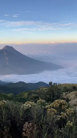 Merbabu emng gaada obat 🥹 #fyp #merbabuviasuwanting #merbabu #xyzbca 