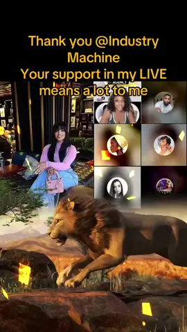 🤍🤍🤍🤍🤍🤍🤍🤍🤍 Industry Machine, thank you for the incredible support in my LIVE! I will keep creating better LIVE content!@Industry Machine #tiktoklive #livehighlights #livegift #lion 