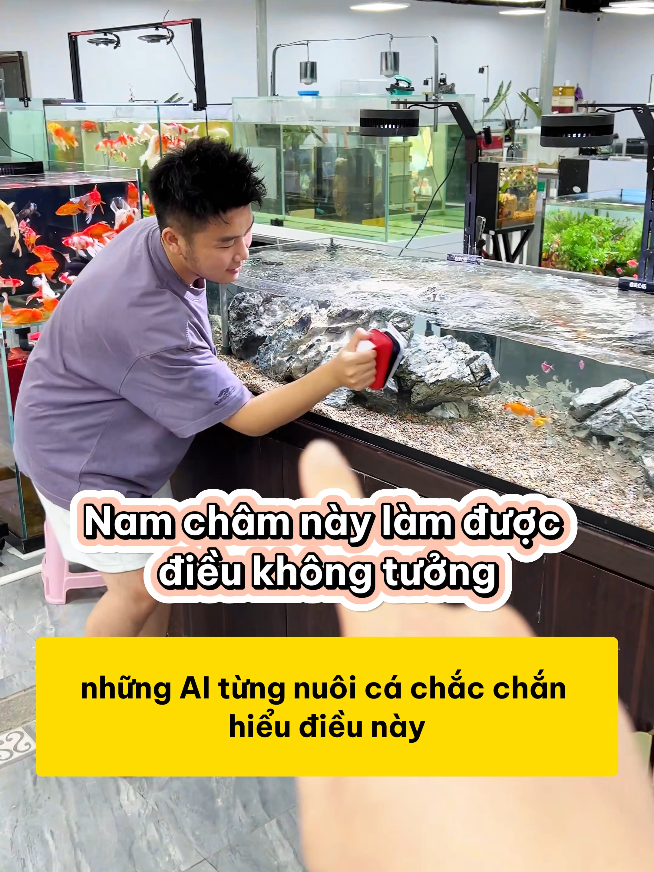 Lau bể cá không còn vất vả nhờ món đồ nhỏ mà có võ này #methuysinh #aquarium #fish #fyp