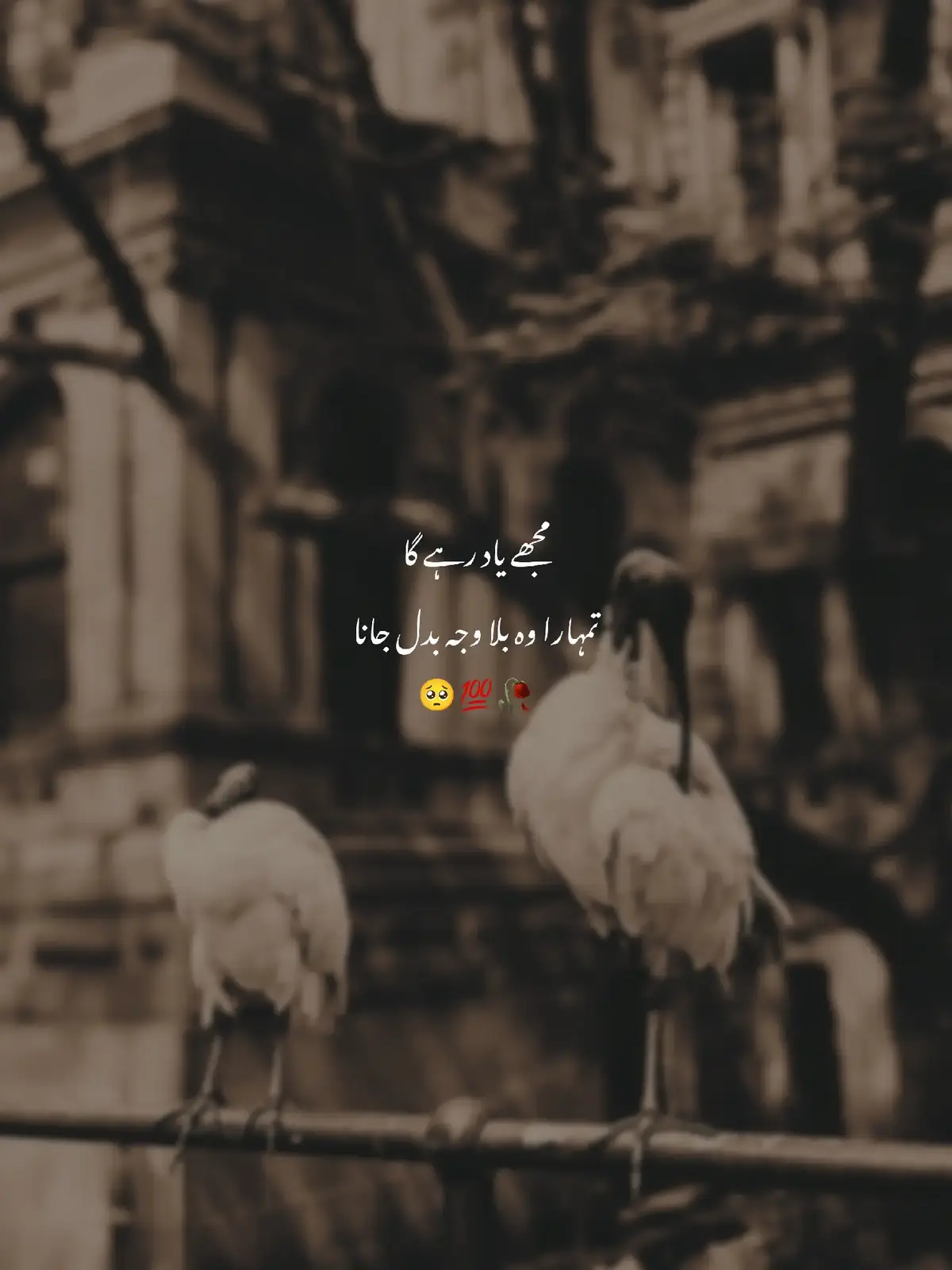 #creatorsearchinsights  #fyp #fypviralシ #foryoupagе #urdupoetry #ufreezemyaccont 