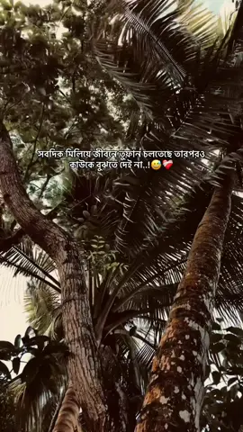 সবদিক মিলিয়ে জীবনে তুফান চলতেছে তারপরও কাউকে বুঝতে দেই না...!😅❤️‍🩹 #foryou  #the_spydoo 