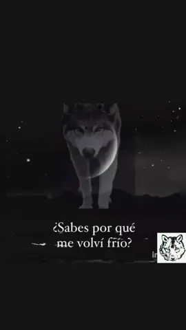 Todo cambia #🍀🐺🌖 #wolf #fyp #viral_video #frases 