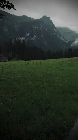 Alone with nature🖤☔️🌿 #relaxing #nostalgia #explore #calmvibes #aestheticvibes #cinematicvideo #moodyvibes #calmdown #darkaesthetic #foryour #foryour #switzerland #swissphotographer #naturephotography #rainyday #forest #nature #swissalps 