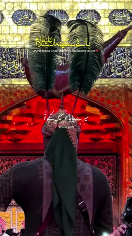 Aey Qaza tu hi mila dein Mary baba sy Mujhy | Noha BIBI Sakina as | #willayah #willayahstatus #shahadatbibisakina #nohabibisakina #pdh #noha #shia #islamicstatus #foryou 