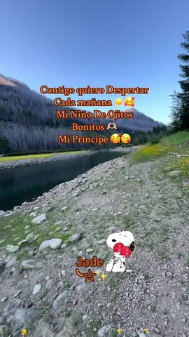 Contigo quiero despertar cada mañana #fypシ #🌞🌙✨ 