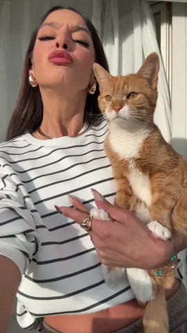 Cat looks like owner is true!😳🤪🤣😂#catsoftiktok #cat #catlover #funny #fyp #funnycat #pets 