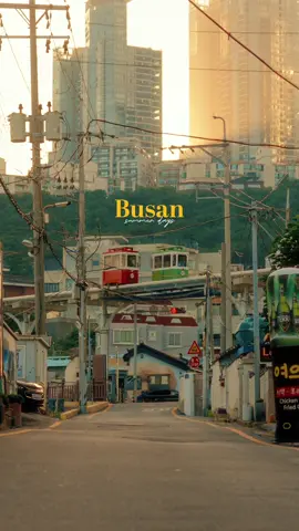 Summer days in Busan 🌊 #southkorea #busan #cinematic 