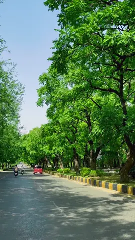 Guess Road Name Islamabadian? #creatorsearchinsights #discoverislamabad #islamabadians #fyp #fypage 