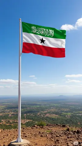 somaliland flag //d#somalitiktok #hargaysa #somalilandtiktok💚🤍❤️ #somaliland #isaaqmavio #putlander🇸🇱💙😘 #fyp 