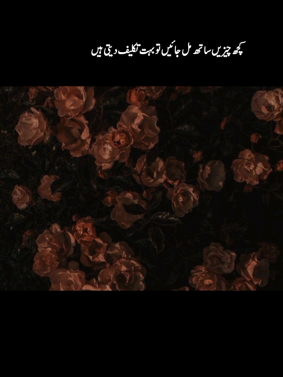 سوچو گے۔۔۔ تو ہر سو نظر آۓ گے الفت دیکھو گے تو اک شخص بھی ہم سا نہ ملے گا۔۔۔🥀✨  ۔ ۔ ۔ ۔ ۔ ۔ #foryou #aesthetic #foryoupage #fypシ #fyp #foryoupageofficiall #for #viral #aesthetics 
