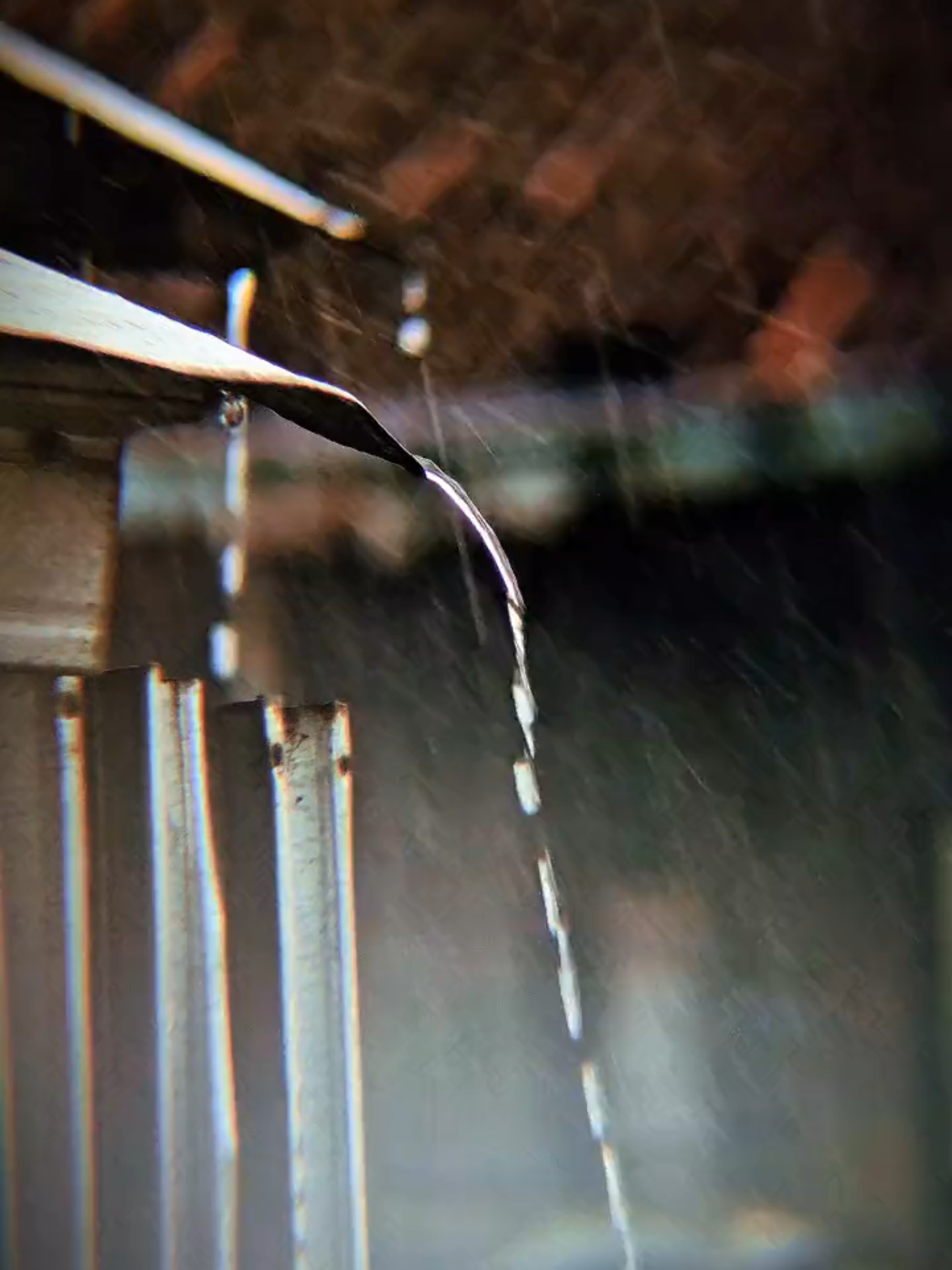 Suara lembut hujan di sore hari 🌧️ #foryou #foryoupage #rain #vibesrain