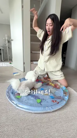 강아지 이거 사주면 환장함 ㅋ 근데 주인이 더