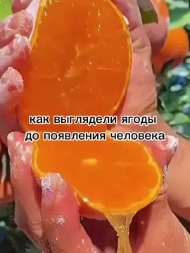 как выглядели ягоды до появления человека: #человек #ягоды #дикийогурец #груша #recommendations #foryou #fyp #fyyp #fypシ #on #foryoupage #sallyface #члеловек #tombraider 