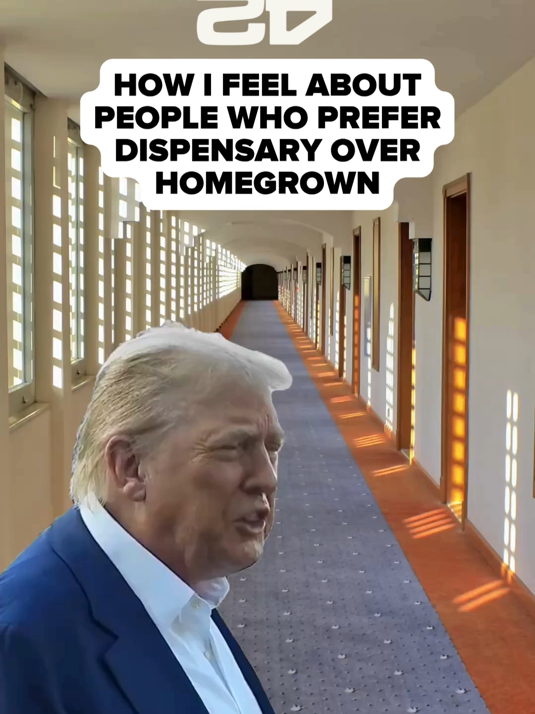 How I feel about people who prefer dispensary over homegrown #fb #homegrown #grower #plants #memestiktok #growyourown #roots #outdoor #gummies #Recipe #gummy #honey #homemadefood #DIY