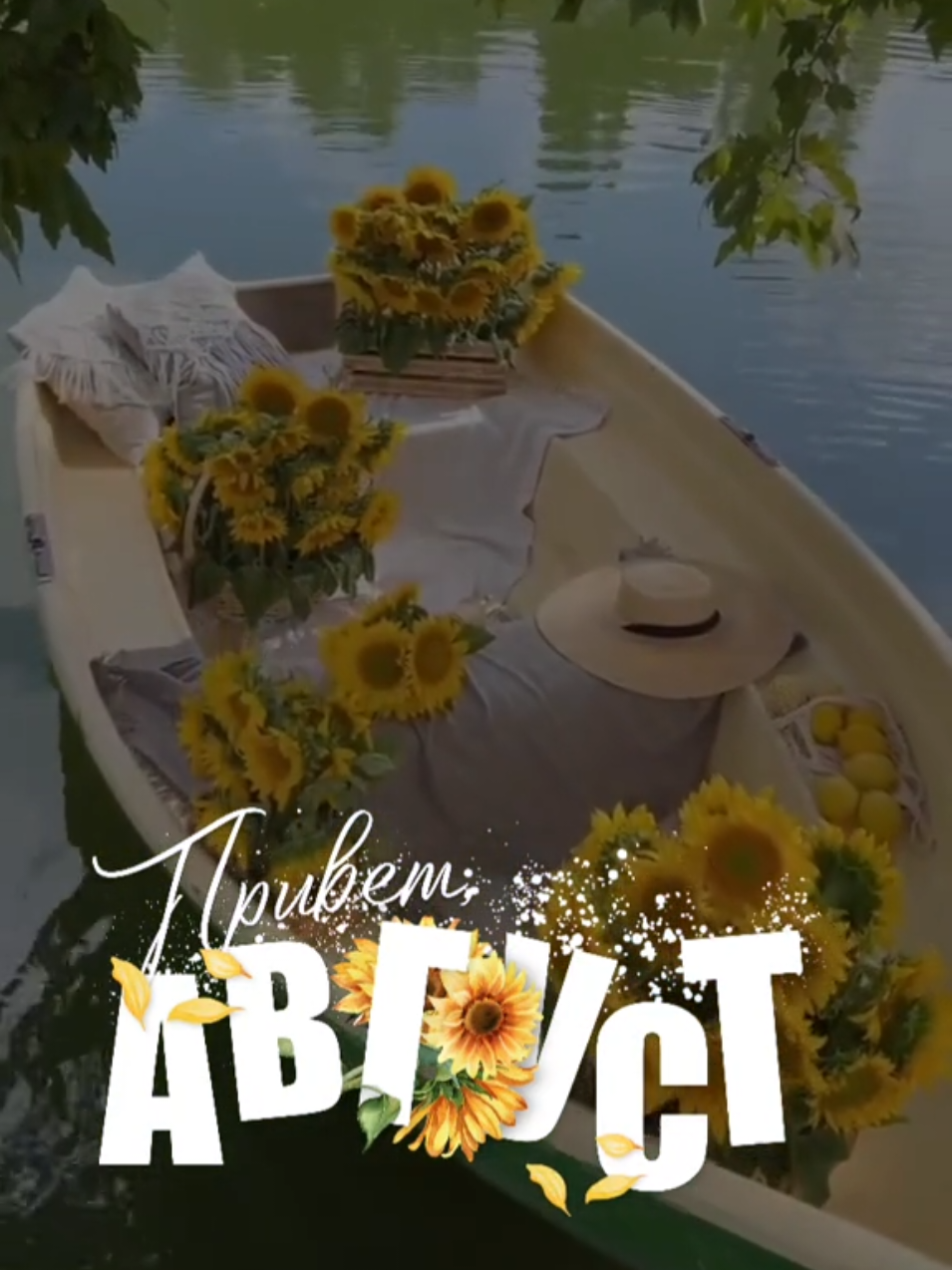 #август  #лето2025  #длявас 