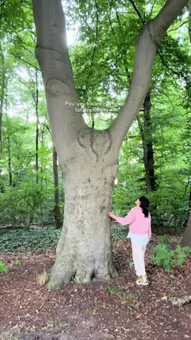 Part 9 | Trading city chaos for this feeling  soft life moments that help me slow down and stay present  #nature #peaceful #slowliving #cabinlife #softlife #naturelover #quietlife 