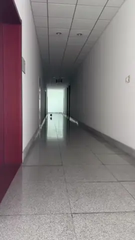 #catcore #catsoftiktok #cat 