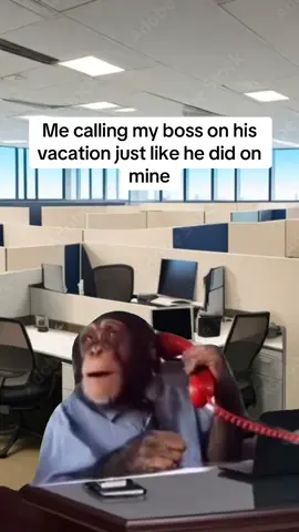 Um hello? Can you come in today! #funnyworkmemes #worklife #relatable #boss #vacations #viral #fyp 