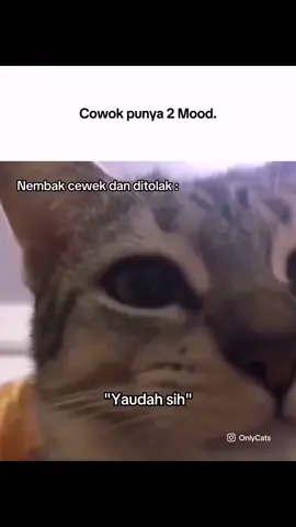 Mancing emosi🗿 #memekucing #kucinglucu #galatama #mancing #mancingikan #mancingsungai #catlover #pov #mk #relateable #fyp 