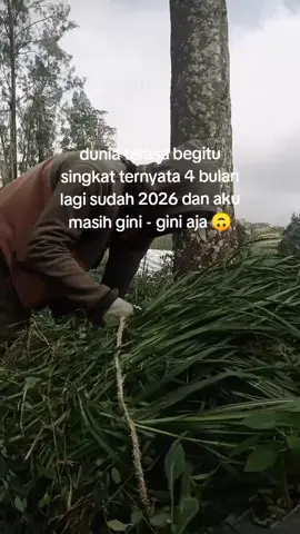 dunia terasa begitu cepat#tukangngaret #sobatngaret #peternakmuda #peternakkambing #masukberandamuu #xybca #fyp 