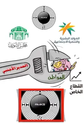 الاجانب في القطاع الخاص البطالة وزارة الموارد البشرية 