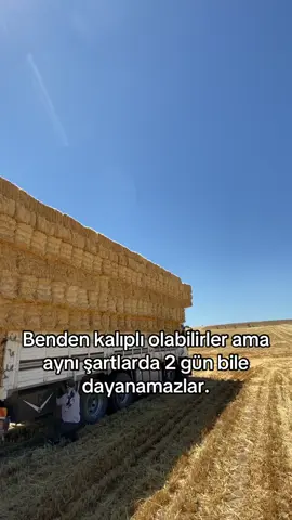 Maşallah🙋🏻‍♂️🧿#koyuncuoğlu #imparator #45akc968 #45ra4572 