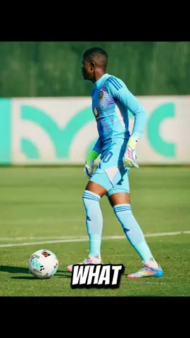 WHO WOULD YOU HAVE IN GOAL???? 🧤 🏴‍☠️ 🚨🚨⚽️⚽️🔥🔥🔥 #sportsontiktok #soccertiktok #psl #southafrica #footballtiktok #orlandopirates #supersport #sama28 #fyp #betwaypremiership #creatorsearchinsights  
