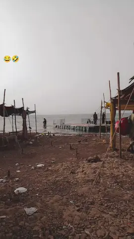 haha 😂  #foryoupage #karlijheel #trending #tiktok #creatorsearchinsights 