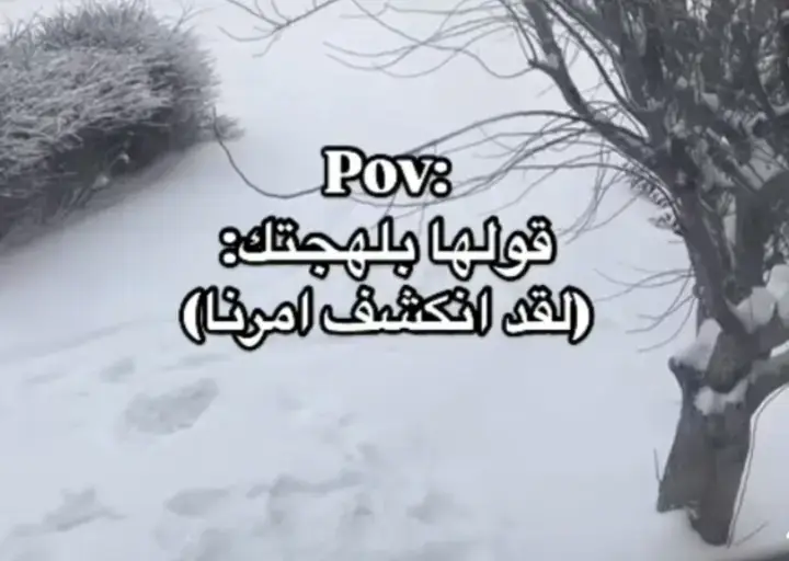 الجزائريين وين راكم🤣🤣🤣🙃