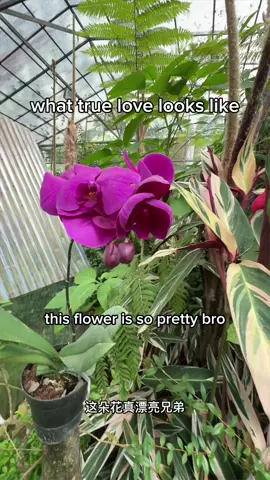 THIS is true love. #sister #girlfriend #tism #viral #fyp #happy 