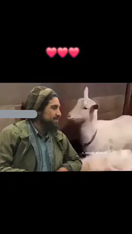 ❤️❤️❤️❤️❤️❤️❤️❤️❤️❤️❤️❤️