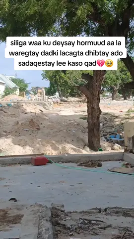 macsalamo siliga by by #siligatowfiiq #ciyaalxamar #somalitiktok12 #somalitiktok #xamarcadey🇸🇴🇸🇴🇸🇴🇸🇴 