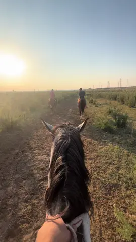 ☀️🐎#рекомендации #keşfetteyizzz 