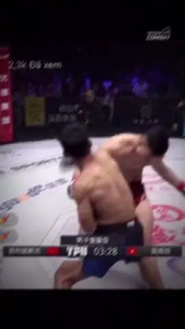 Trần Ngọc Lượng 🇻🇳#lionchampionship #mmavietnam #LC25 #tranngocluong#fyp #mma #knockout 
