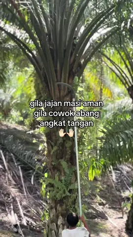 @CCTV'PSA🚛 ☝🏻#fyp #fyppppppppppppppppppppppp #hasilsawit #sawit #petanimuda #anakkampung #apajakoo🤙 #xbcyza 
